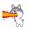 dynamic dog 29