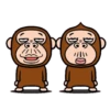 Monkey combination 22