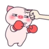 ️Pig daily life  MOV 24