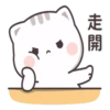 貓小醬 7 17