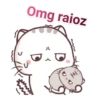 gatitos 24