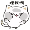 愛挑釁的貓貓 21