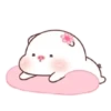 ️Pig gordo2  MOV 26