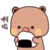 panda bear 19