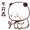 panda bear 21