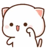 Mochi Pack 13 22