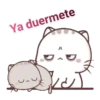 gatitos 28