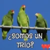 ANIMALITOS1MOV 28