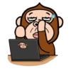 Monkey combination 23