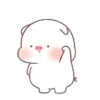 ️Pig gordo2  MOV 29