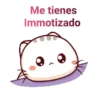 gatitos 29