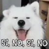 ANIMALITOS1MOV 30