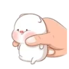 ️Pig gordo2  MOV 30