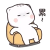 貓小醬 7 24
