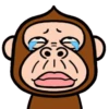 Monkey combination 24