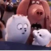 Snowball reacciones 3   MOV 6