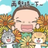 茶包妹螢幕長輩圖 6