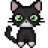 Cats  Cats   gatos  mov 7