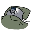 Anonymous 4 joke everyday 5