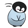 Pingüino gordito🐧❄️ MOV 7