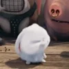 Snowball reacciones 2   MOV 6