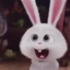 Snowball reacciones 3   MOV 8
