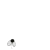 Insects 9