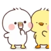 Two cute ducklings (Mov) 5