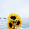 Girasoles 1 9