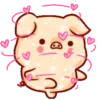 Shine Pig   mov 9