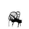 Insects 10