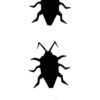 Insects 12