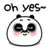 Funny panda MOV 12