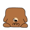 Perro cuadrado 7