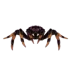 Insects 14