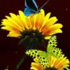 Girasoles 1 13
