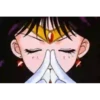Sailor Moon Friends 12