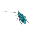Insects 15