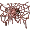 Insects 16