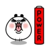 Funny panda MOV 13
