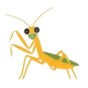Insects 17
