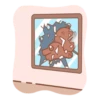 ️Lovely Brown & Sally 14