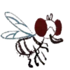 Insects 19