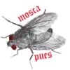 Insects 20