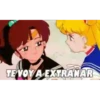 Sailor Moon Friends 18