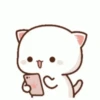 Peach Cat 1 13