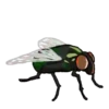 Insects 21