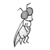 Insects 23