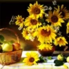 Girasoles 1 18