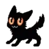 Cats  Cats   gatos  mov 16